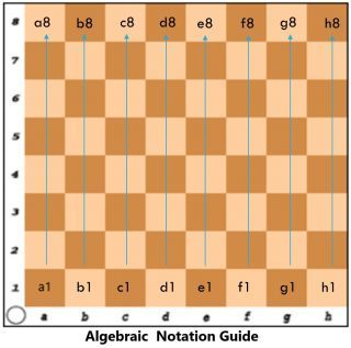 Algebraic national guide