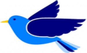 imagebird3