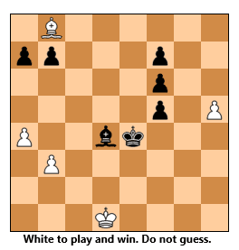 endgame16