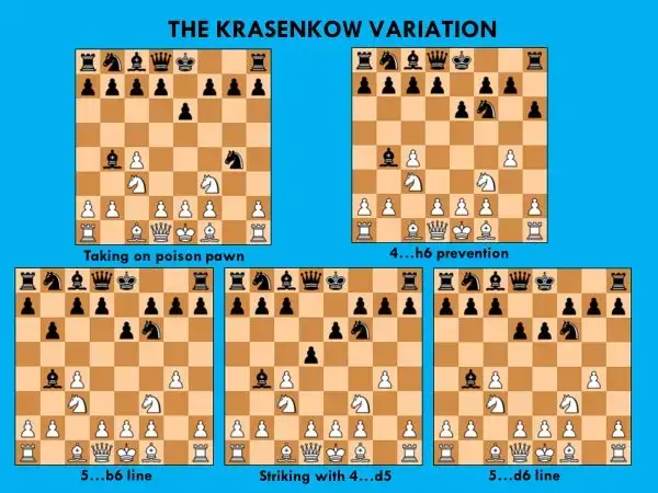 krasenkow2
