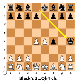 kingsgambit3...Qh42