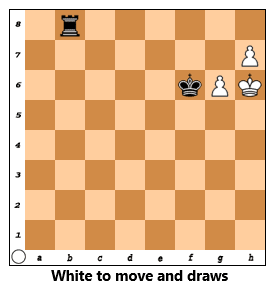 Endgame8