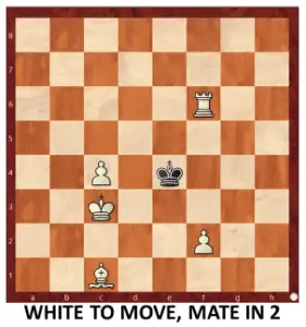 Endgame 176