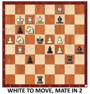 Endgame 213