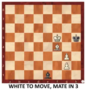 Endgame 214