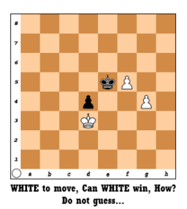Endgame 3