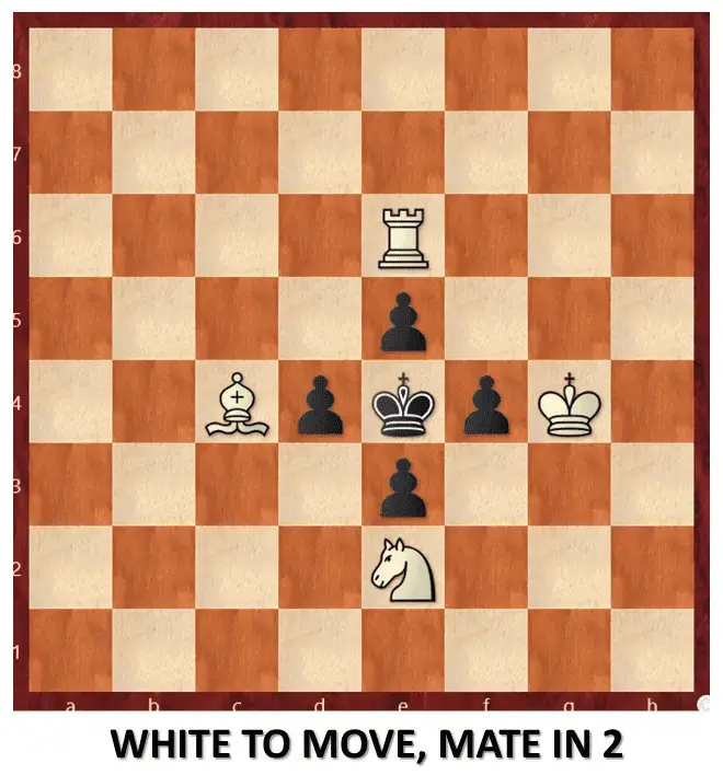 Endgame 538