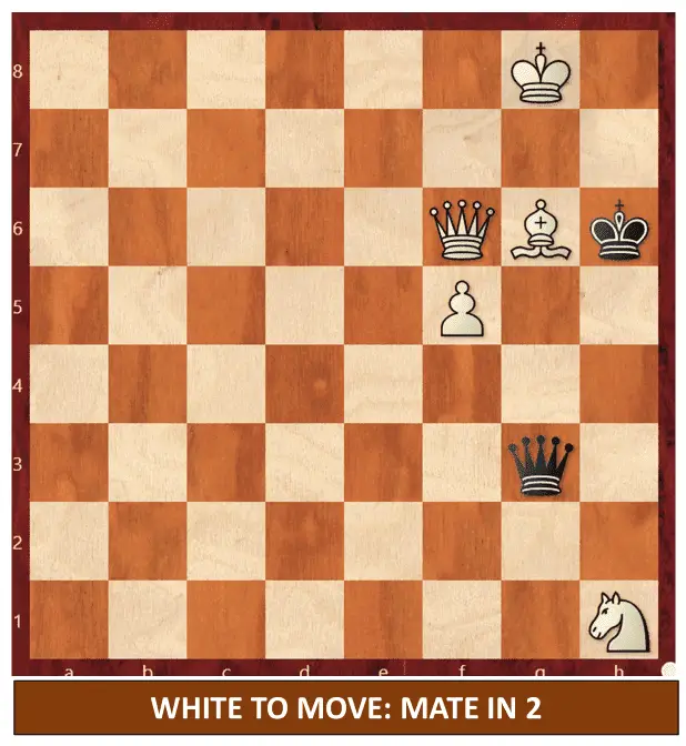 Endgame 550